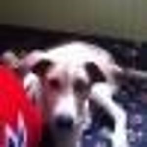 Profile Picture of Meredith Boudreau (@234982292) on Myspace