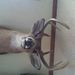 Profile Picture of Brent Clouse (@bclouse0065) on Pinterest