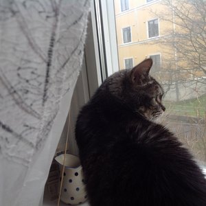 Profile Picture of Stefan Sandberg (@ojojaja) on Myspace