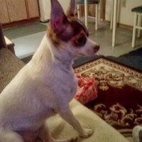 Profile Picture of Deborah Patterson (@deborah-patterson-18) on Quora