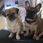 Profile Picture of Doug And Drew (@_doug__drew_) on Instagram
