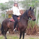 Profile Picture of Yolanda Cano (@yolandakno) on Instagram