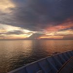 Rachel Quek - Instagram Profile Picture of Rachel Quek (@rae_chelq) on Instagram