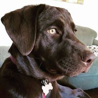 Profile Picture of Jordan Swiderski (@jordan-swiderski-1) on Quora