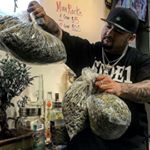Profile Picture of David proper420 (@davidproper420) on Instagram