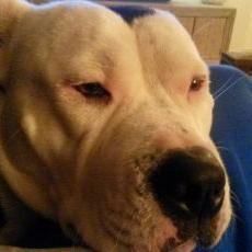 Profile Picture of Erik Bosma (@eer4you) on Twitter