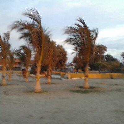 Profile Picture of Richard H. Alemán (@Charrincito) on Twitter