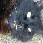 Profile Picture of Grant Mcwilliams (@grantmc82) on Instagram