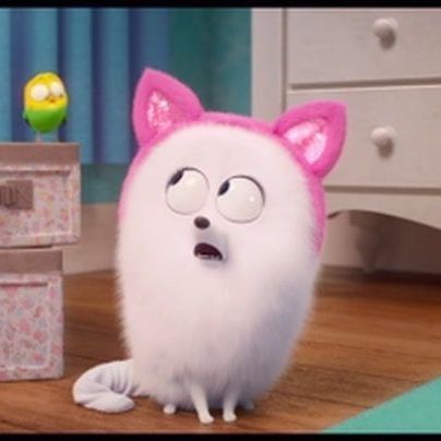 Profile Picture of Candace (@amriv_23) on Tiktok