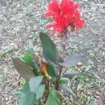 Profile Picture of brandy_garner_knowles (@brandybk07) on Instagram