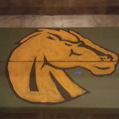 Profile Picture of Josh Pitz (@JoshStuddah47) on Twitter