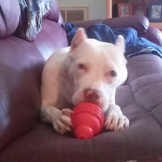 Profile Picture of Darrell Lee Snyder (@darrell.l.snyder) on Facebook