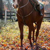 Profile Picture of Haley Mullen (@haleymullen6627) on Youtube