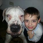 Alberto Carlos Felder - Instagram Profile Picture of Alberto Carlos Felder (@chaaarlyyy10) on Instagram