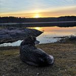 Profile Picture of Linda Olson 👨‍👩‍👧‍👦🐾🏔🏞💪 (@turboello) on Instagram