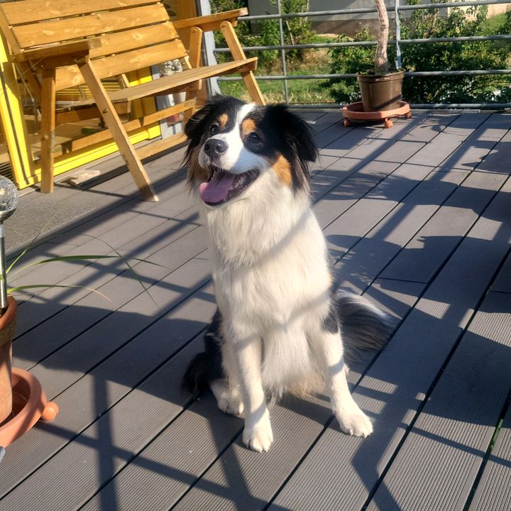 Profile Picture of Karin Kern (@@karinkern) on Tiktok