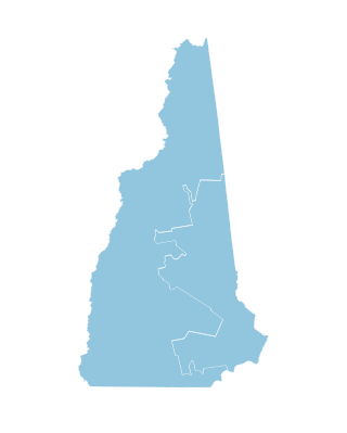 Profile Picture of 2020 United States House of Representatives elections in New Hampshireon Wikipedia