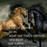 Profile Picture of Rogelio Zaragoza Damian (@rogeliozaragozadamian) on Instagram