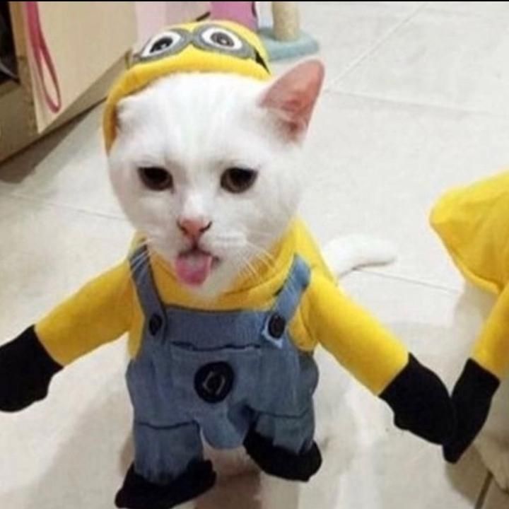 Profile Picture of JamesBlair (@vhy5azogykw) on Tiktok