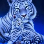 Profile Picture of Daniel Belman (@daniel.belman.7927) on Instagram