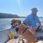 Profile Picture of Jo Meekis (@voltagewolf) on Facebook