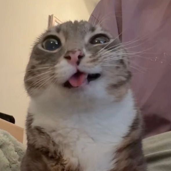 Profile Picture of . (@jackeduprn) on Tiktok