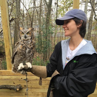 Profile Picture of Jeanette Lambert (@HASJeanette) on Twitter