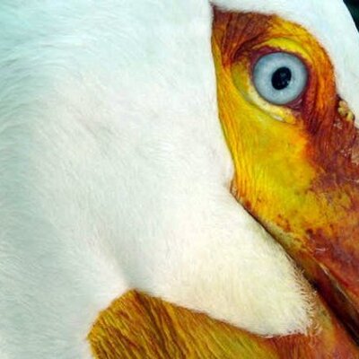 Profile Picture of Lori Legator (@lorilegs) on Twitter