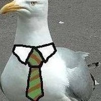 Profile Picture of Dominic Neal (@dominic-neal-1) on Quora