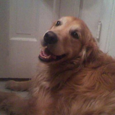 Profile Picture of Mark VanWyk (@MarkVanWyk13) on Twitter