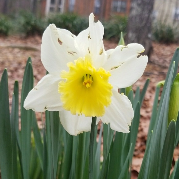 Profile Picture of Jan Johannes (@hunnayjay_) on Poshmark