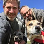 Profile Picture of Gregg Jacobs (@samdigzo21) on Instagram
