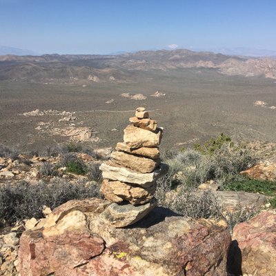 Profile Picture of Tamara Francois-Neubauer (@NeubauerTamara) on Twitter