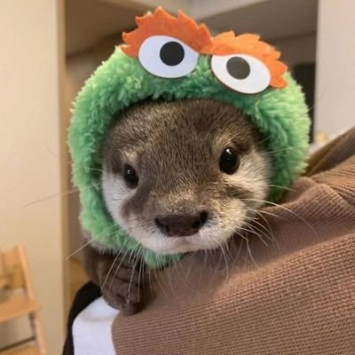Profile Picture of WalterChow (@WalterChow7) on Twitter