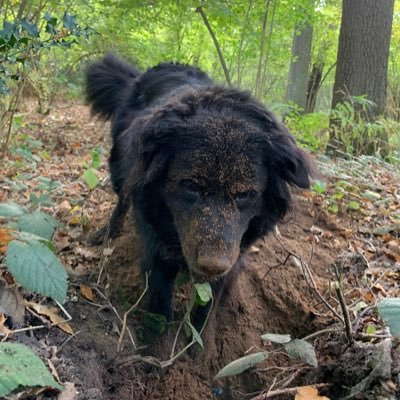 Profile Picture of Sally Howard (@Sal29star) on Twitter