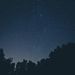Profile Picture of Eugene Barnes  (@eugene28937790) on Pinterest