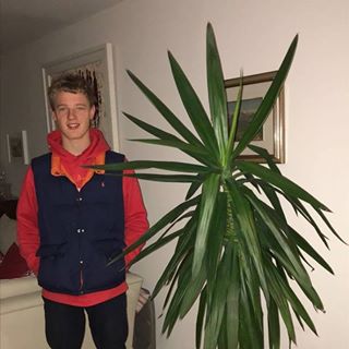 Frank Cullimore - Facebook Profile Picture of Frank Cullimore (@Frank-Cullimore) on Facebook