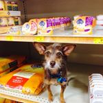 Profile Picture of Lucy (@lucy_queen_of_monaco) on Instagram