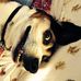 Profile Picture of Steve Gaul (@steve.gaul.90) on Facebook