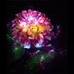 Profile Picture of Doris Ferrer (@doris.ferrer.9406) on Facebook