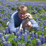 Profile Picture of Paula Switzer (@pgswitzer) on Instagram