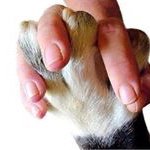 Profile Picture of Janet Cottongim (@janetcottongim) on Instagram