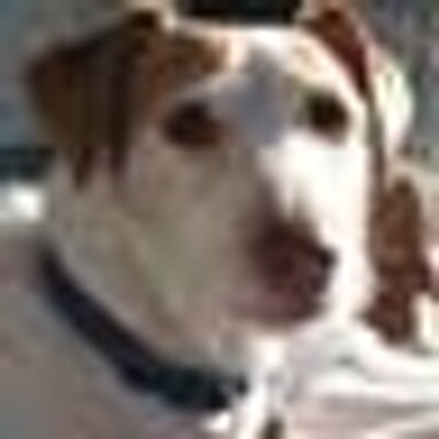 Profile Picture of Tonyfaro (@tonyfaro) on Twitter