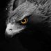 Profile Picture of Jake Colvard (@jake.colvard.1) on Facebook
