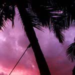 Profile Picture of Paula_Lanier (@paula_laniert) on Instagram