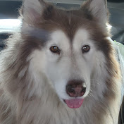 Profile Picture of Oddi (@oddi5622) on Youtube