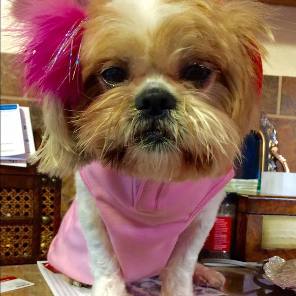 Profile Picture of Aldijana Ajanovic (@aldi1983) on Poshmark