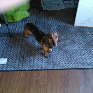 Profile Picture of Marsha Mcbride (@Marsha-Mcbride) on Facebook