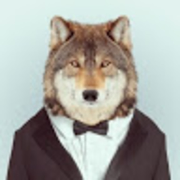 Profile Picture of Kyle Berkes (@x_buddha) on Poshmark