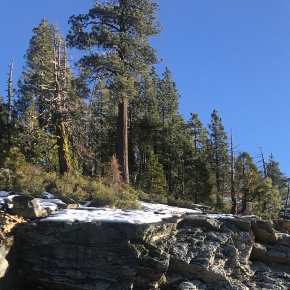 Profile Picture of Marvelyn Breceda (@marvelynb1) on Poshmark